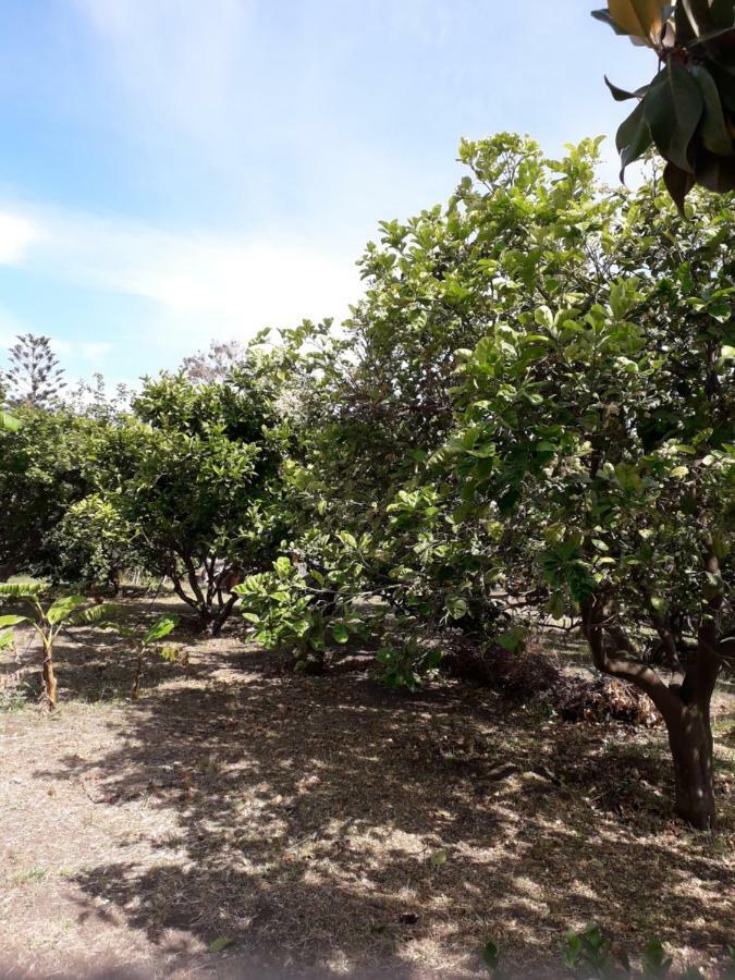 Casa Agrumeto Stromboli Ngoại thất bức ảnh